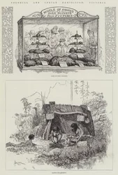 Exposition coloniale et indienne, Victoria